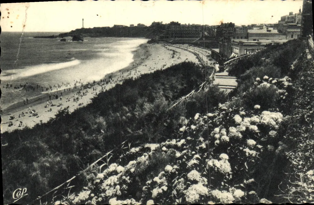 Biarritz — Les Hortensias und die Grande-Plage — Verlag C. P. (gedruckt unten links) — Nr. 300 - Vorderseite