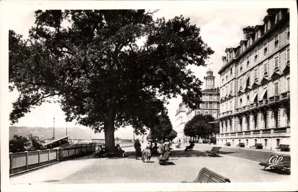 Pau — Boulevard des Pyrénées — C.A.P. Photo — Paris - Frente
