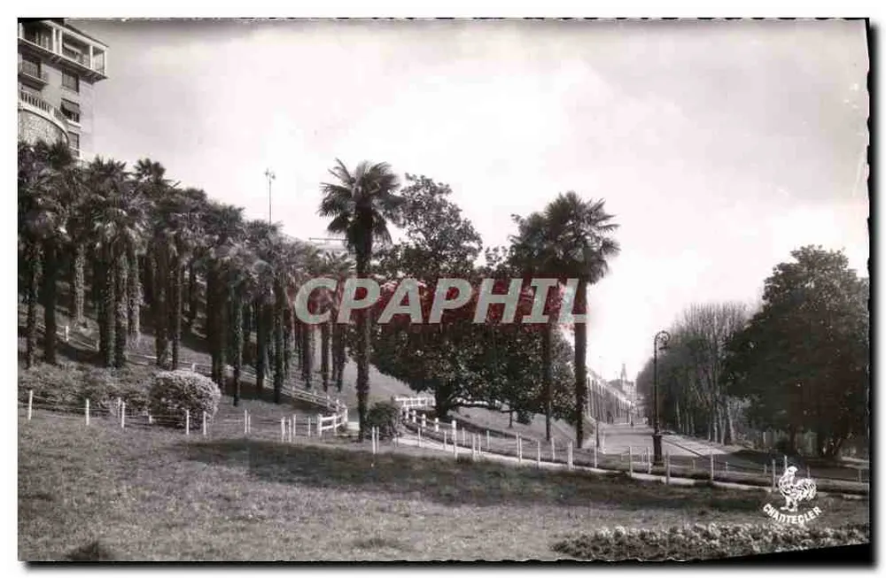Die Palmenanlage und die Bahnhofstraße — Pau — Éditions Chantecler, n° 202 - Vorderseite