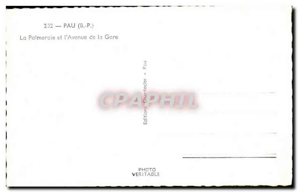 Die Palmenanlage und die Bahnhofstraße — Pau — Éditions Chantecler, n° 202 - Rückseite