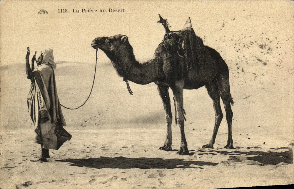 A Oração no Deserto — cena de oração com camelo — editor desconhecido, n° 1118 - Frente