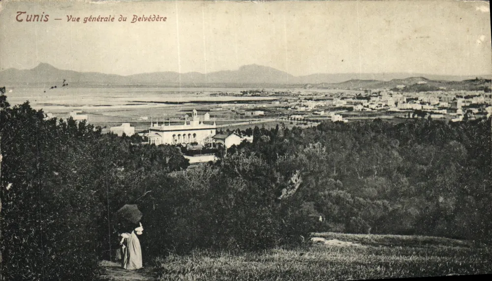 Tunis — Vue générale du Belvédère — éditeur imprimeur non visible - Voorkant