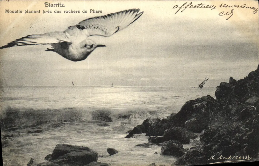 Biarritz. Möwe, die über den Felsen des Leuchtturms fliegt — M. Andreossi, Verleger - Vorderseite