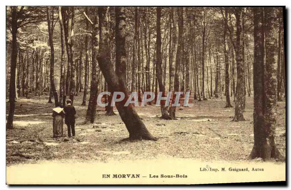 EN MORVAN — Os Sub-Bosques — Lib.Imp. M. Guignard, Autun - Frente