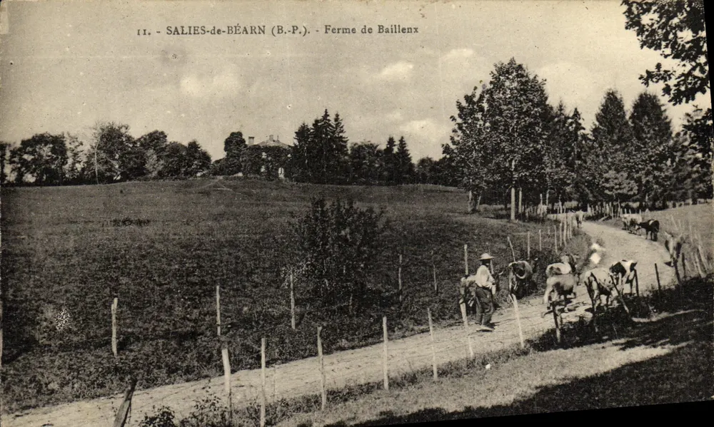 Salies-de-Béarn (B.P.) — Bauernhof von Baillenx — ländliches Landschaft mit Bauer und Kühen - Vorderseite