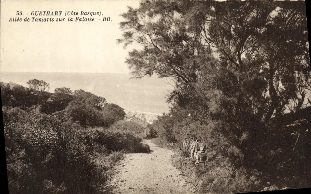 Guethary (Côte Basque) — Allée de Tamaris sur la Falaise — BR, n°35 - Vorderseite