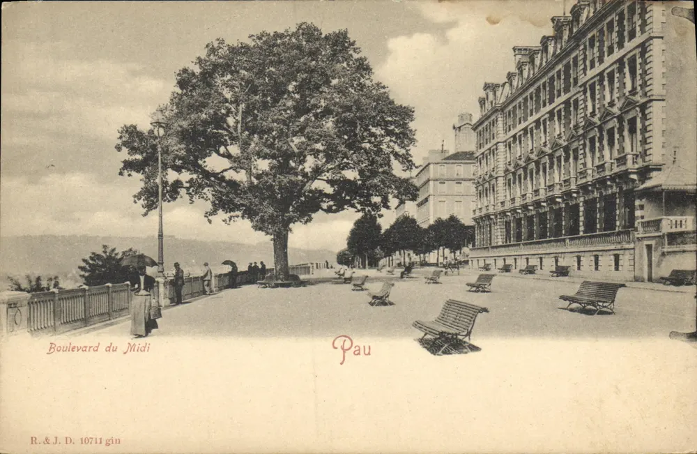 Boulevard du Midi — vue avec grand arbre et bâtiments — R. & J. D. 10711 gin - Frente
