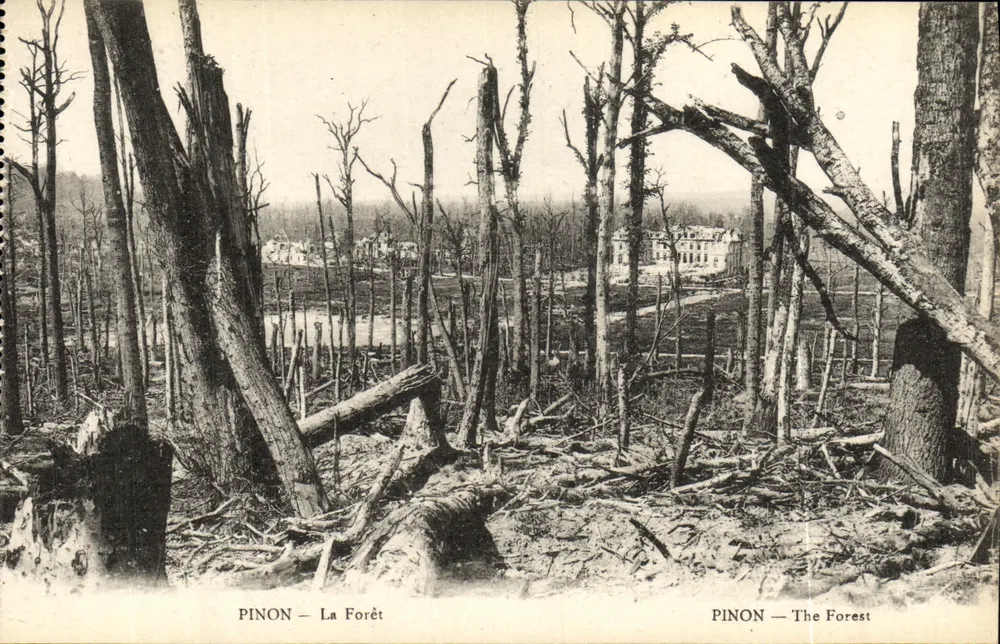 PINON — A Floresta — PINON — The Forest — B. Nougard e H. Lathussons - Frente