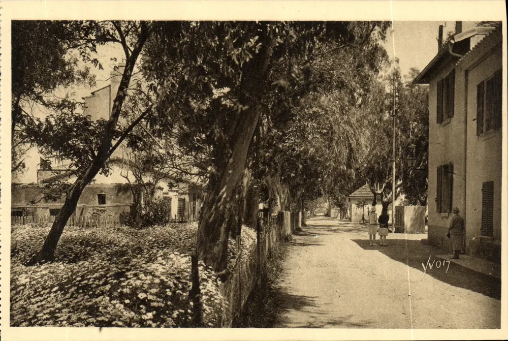 Porquerolles - Die Hauptstraße — Die Inseln von Hyères (Var) — Éditions d'Art YVON, n°11/319 - Vorderseite