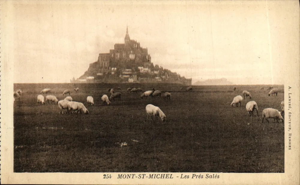 Mont-Saint-Michel — Les Prés Salés — A. Lamiré, Verleger, Rennes - Vorderseite