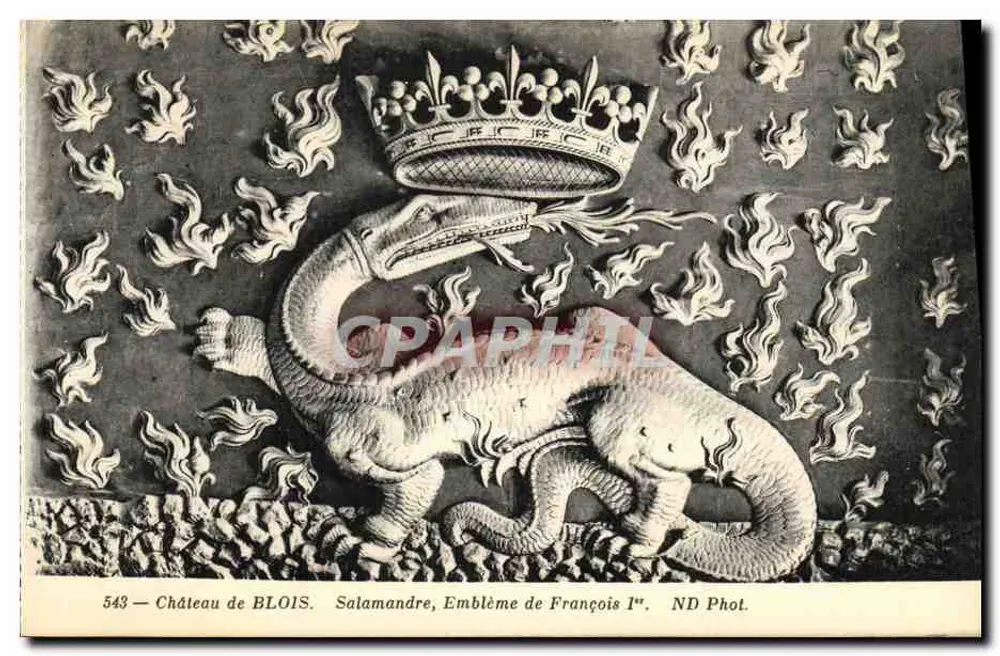 Schloss BLOIS — Salamander, Wappen von François I. — ND Fotografie - Vorderseite