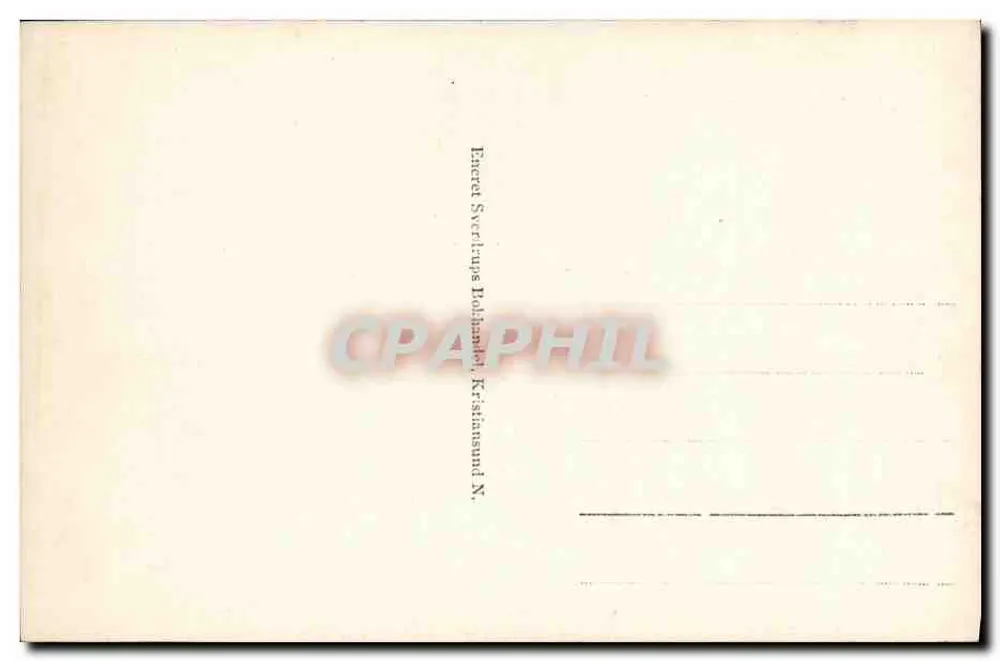 Parti fra Veien Kvlsvik – Gyl. – Eneret G. Sverdrup, n° 569 - Verso