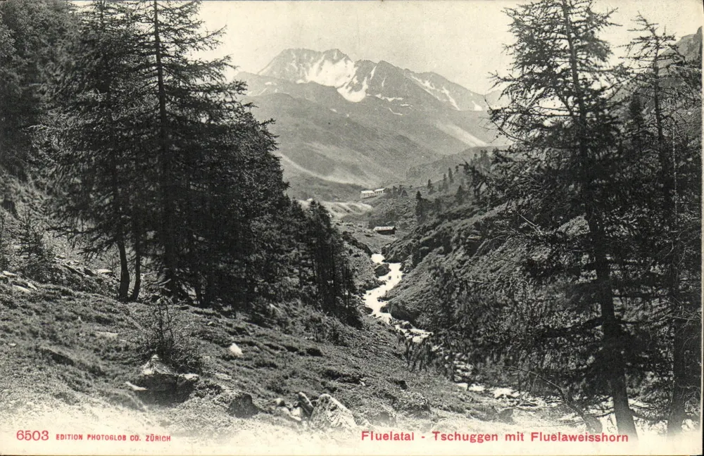 Fluelatal - Tschuggen com Fluelaweißhorn — Edição Photoglob Co. Zürich, n° 6503 - Frente