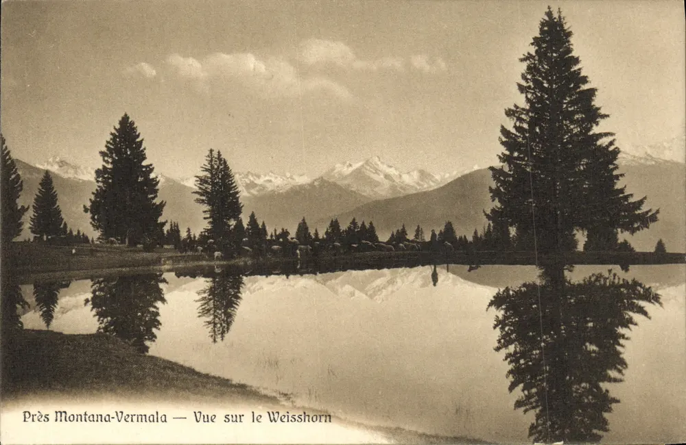 Nahe Montana-Vermala — Ansicht des Weisshorns — Edit. H. Ruedi, Phot. Montana - Vorderseite
