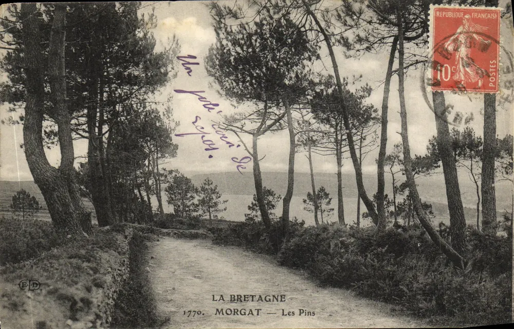 Morgat — Les Pins — A Bretanha — Editor E.D. — N° 1770 - Frente