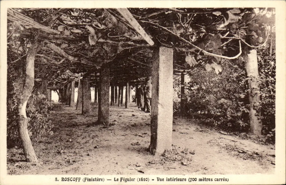 Roscoff (Finistère) — O Figuler (1610) — Vista interna (700 metros quadrados) - Frente