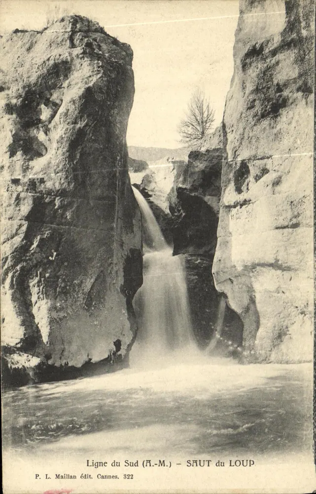 Saut du Loup — Ligne du Sud (P.-M.) — P. L. Maillan édit. Cannes 322 - Frente