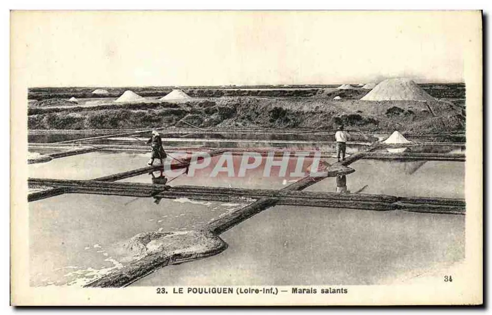 Le Pouliguen (Loire-Inf.) — Marais salants - Frente