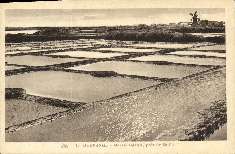 Guérande - Salzseen, nahe Saillé - Vorderseite