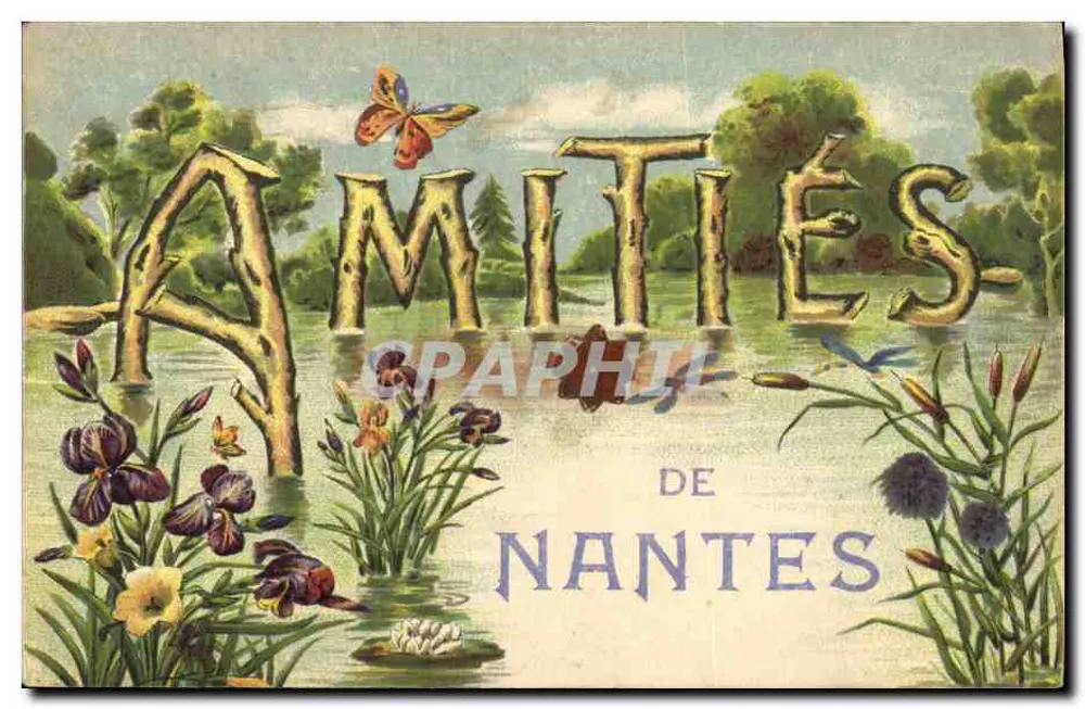 Amitiés de Nantes — paisagem fluvial com flores e borboleta — editor Anjaud & Noguais, N°6 - Frente