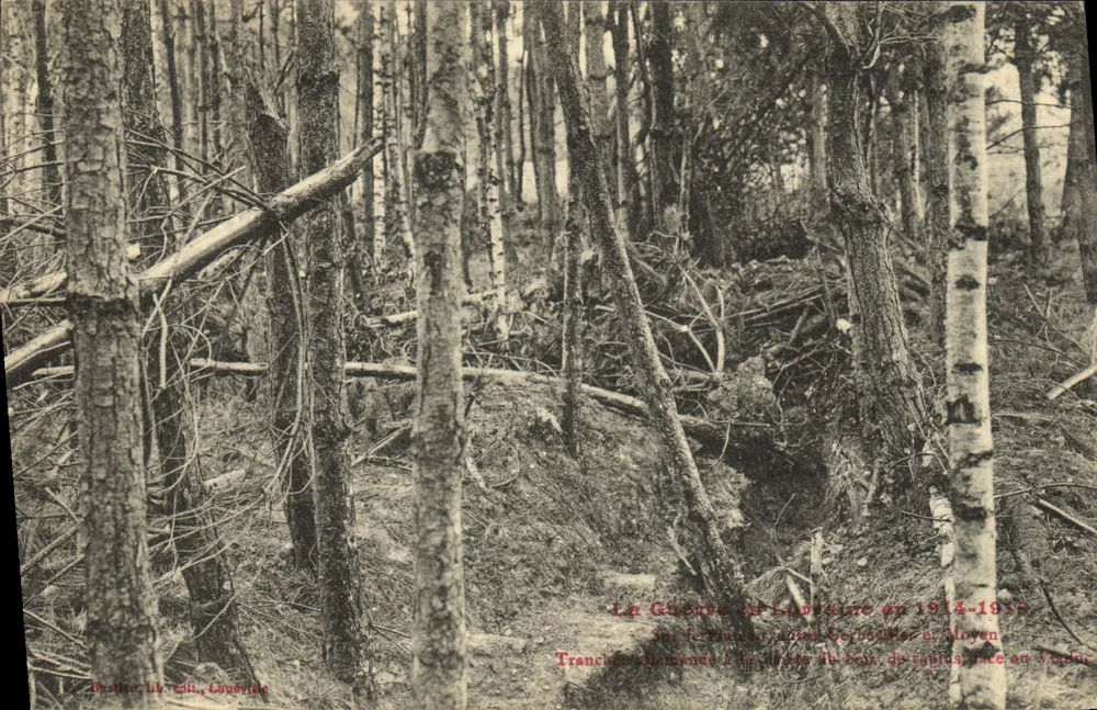 Trincheira alemã na floresta do bosque de pinheiros, face em Vaudreuil — A Guerra na Lorena em 1914-1918 — Destinée lib. édit., Guevreville - Frente