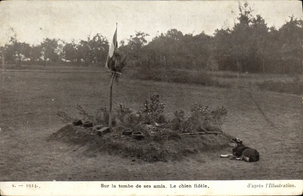 Treuer Hund — auf dem Grab seiner Freunde — nach Illustration, Serie X — 1914 - Vorderseite