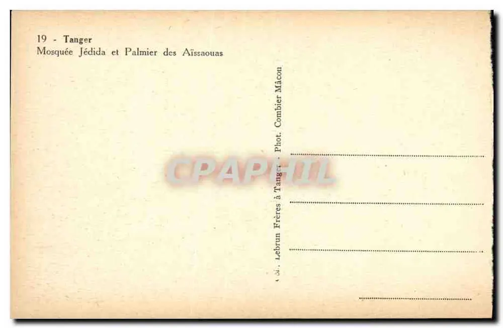 Tanger — Mosquée Jédida et Palmier des Aïssaouas — Lebrun Frères à Tanger - Rückseite