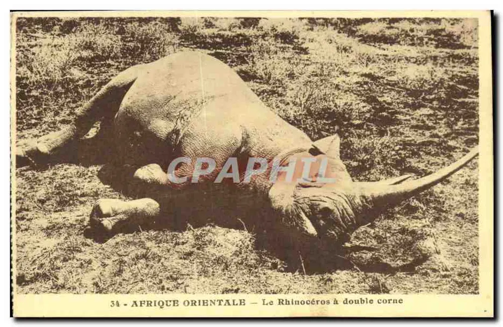 Ostafrika — Der Zweihörner-Rhinozeros — Edition "Spritus" - Vorderseite
