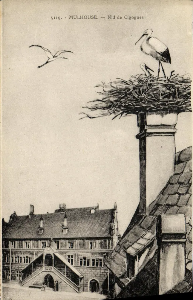 Mulhouse — Ninho de Cegonhas — Editor Cigogne, n° 5119 - Frente