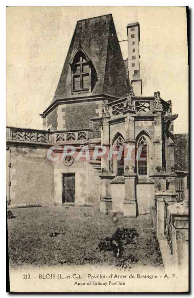 Blois (Loir-et-Cher) - Pavilhão de Ana da Bretanha - A. P. 213 - Frente