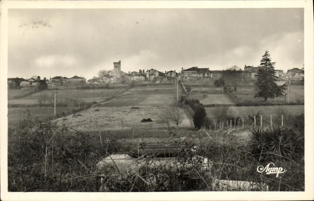 Montaut (Landes) — Vista Geral — Edição Dany, Masmande (L.-et-G.) - Frente