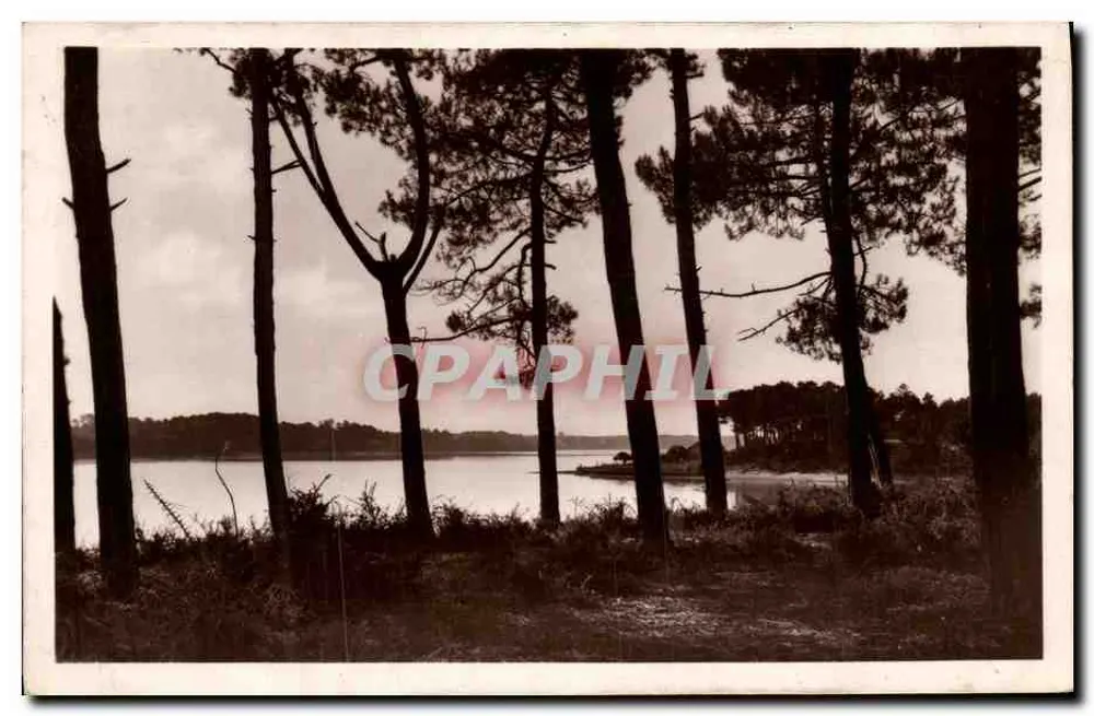 Hossegor — Allgemeiner Blick auf den See, durch die Kiefern — Ausgabe Lucien Capbreton - Vorderseite