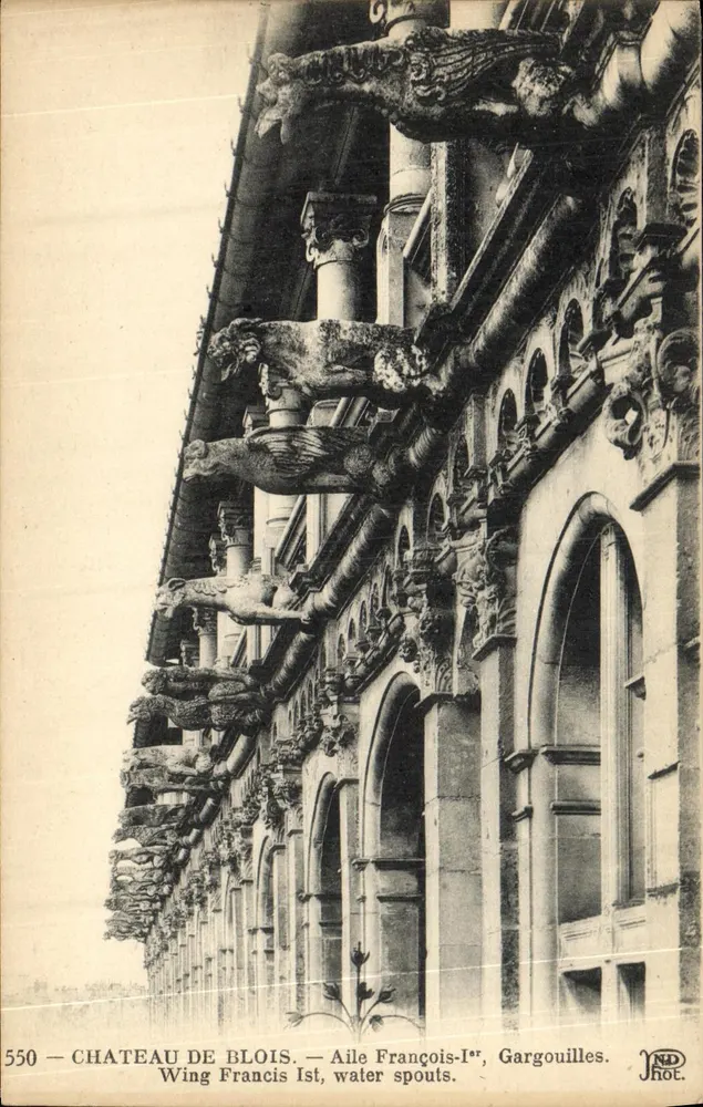 Château de Blois — Flügel François-Ier, Wasserspeier und Regenrinnen — NDJhot. - Vorderseite