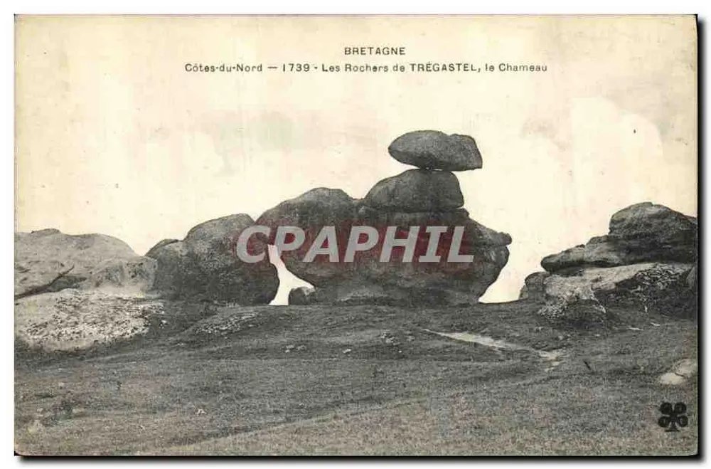 Die Felsen von Trégastel, der Kamel — Bretagne, Côtes-du-Nord — n°1739 - Vorderseite