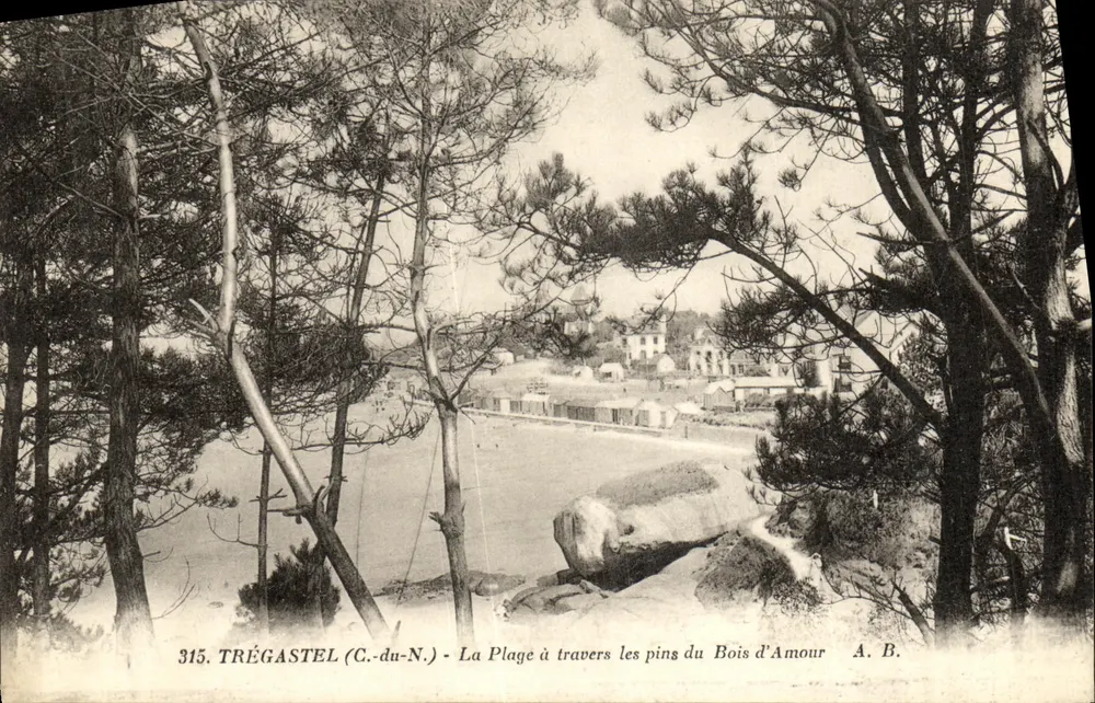 Trégastel (C.-du-N.) - Ansicht der Strandpromenade durch die Tannen des Bois d'Amour — A. B., n° 315 - Vorderseite