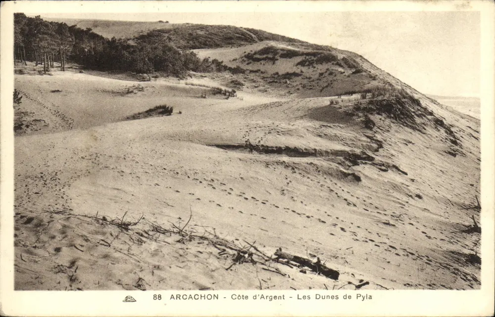 Arcachon - Costa de Prata - As Dunas de Pyla — Bilhete postal antigo n°88 - Frente