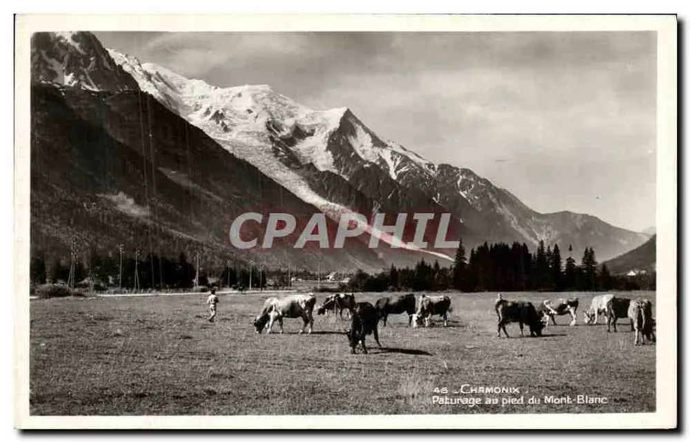 Chamonix — Pâturage au pied du Mont-Blanc — Éditeur Hotel du Montenvers - Vorderseite