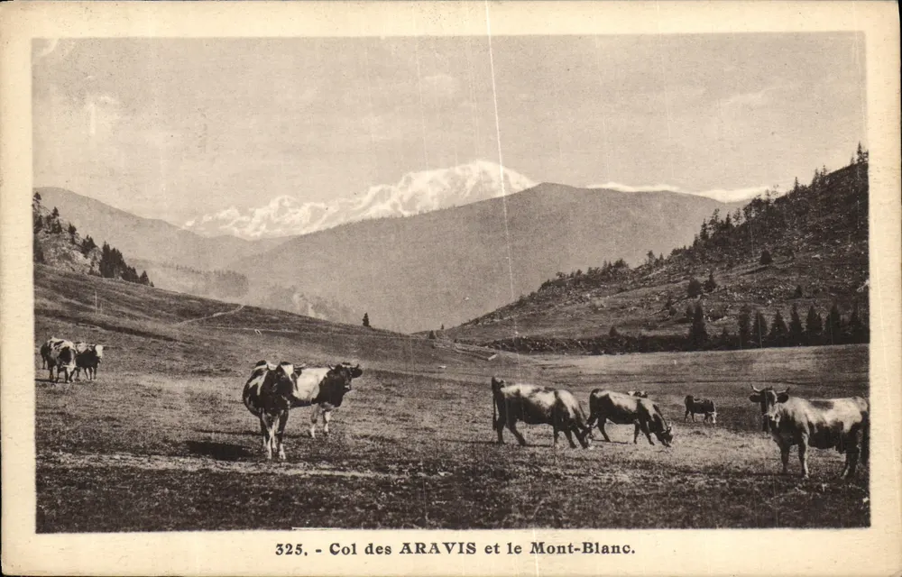 Col dos ARAVIS e o Mont-Blanc — 325 — L. Morand, fot.édit. - Frente