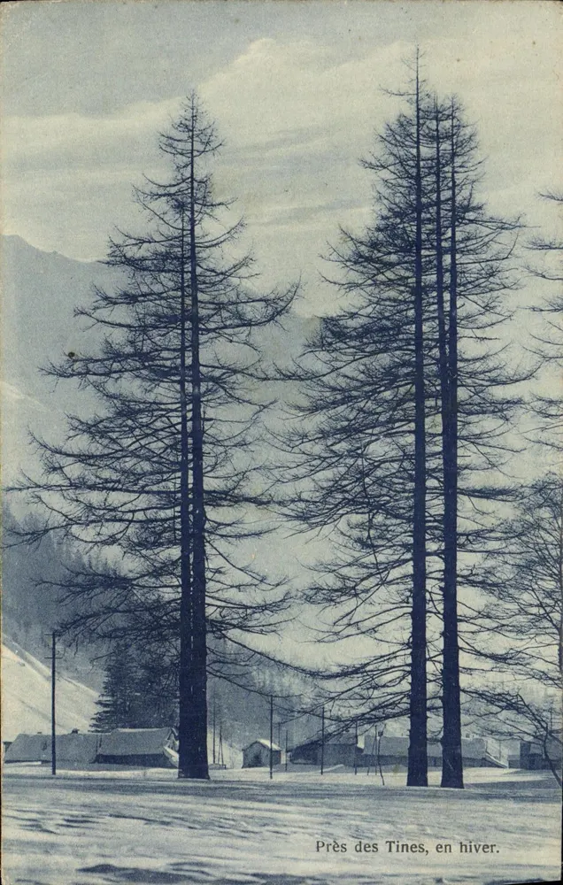 Bij de Tines, in de winter — C. Artige zoon, uitgever, Aubenas - Voorkant