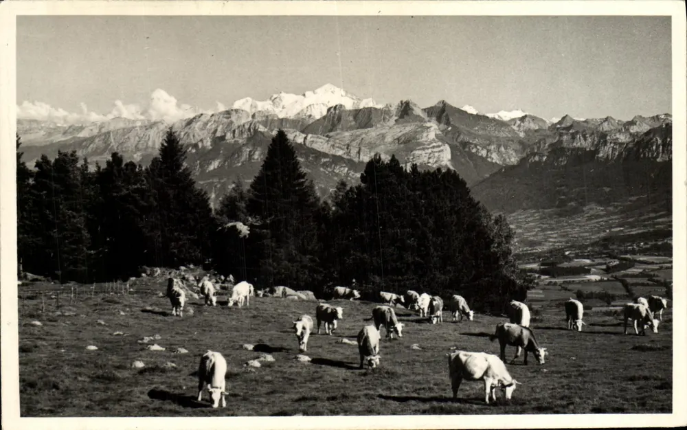 Le Salève (Haute-Savoie) — Blick auf den Mont Blanc — Ansichtskarte - Vorderseite