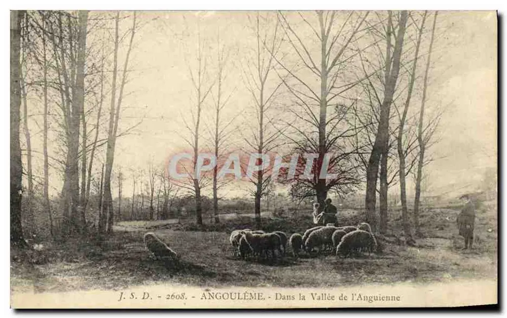 Angoulême — In der Anguienne-Tal — J. S. D. - 2608 - Vorderseite