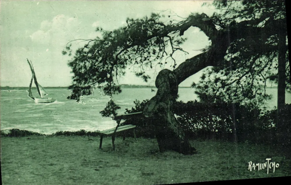 Parque do Casino de LA ROCHELLE — vista com árvore e barco — Ramuntocho - Frente