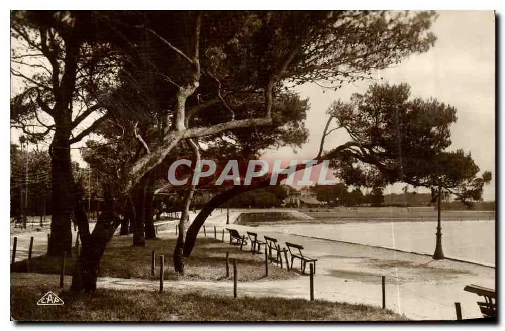 La Rochelle — A Praia entre os Pinheiros — C.A.P. 31 - Frente