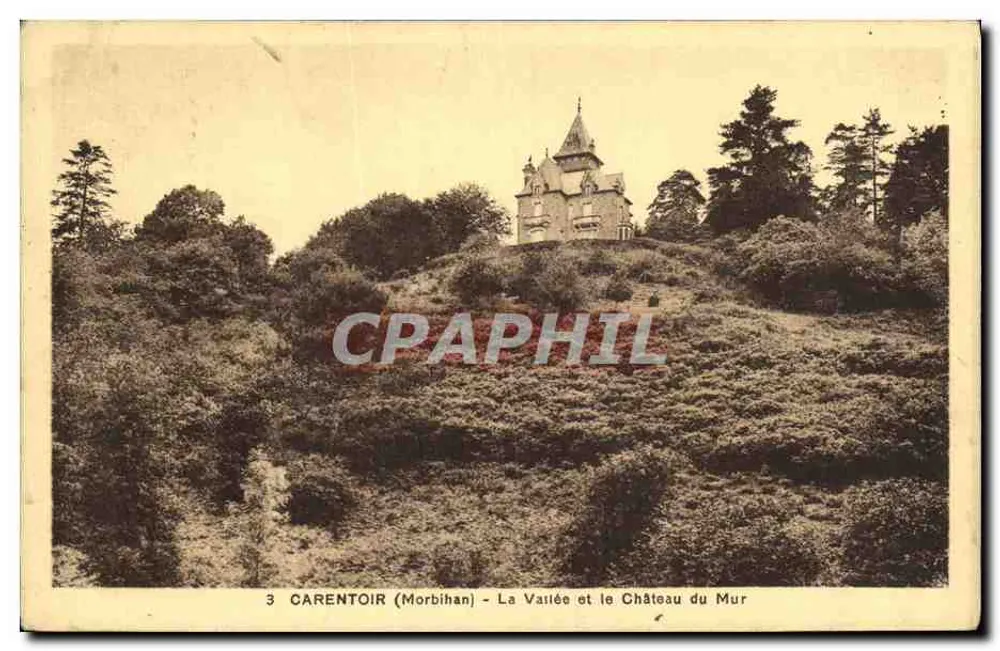 Carentoir (Morbihan) — A Vista da Variée e o Castelo do Mur — Editor Le Carnec - Frente