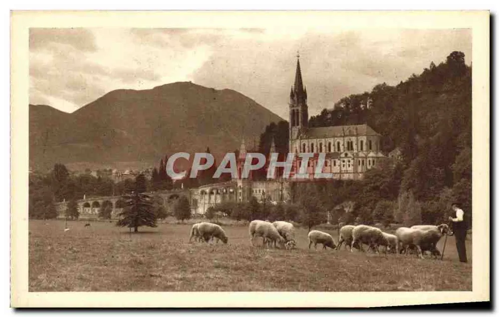 Die Basilika — Blick auf das Grottenfeld — Edition Pialis du Rosaire — Lourdes - Vorderseite