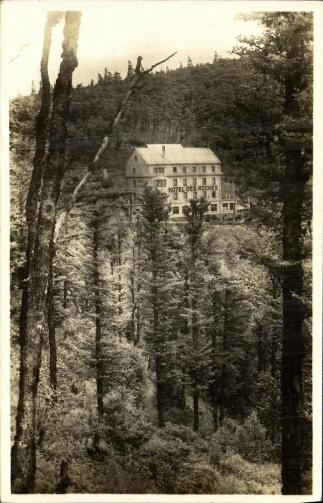 Hôtel des Roches — Editor Félix LUIB, Strasbourg — n° 238 - Frente