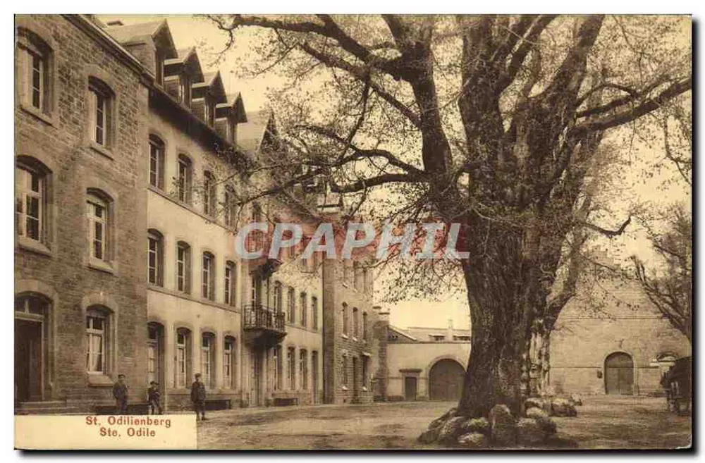 St. Odilienberg — vista de uma rua com um grande árvore — editor não visível - Frente