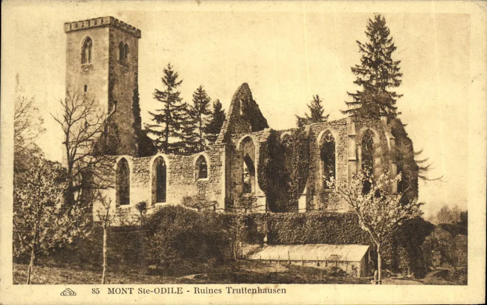 Mont Ste-Odile - Ruinen Truttenhausen — Verlag: Vintage Postcard/Antike Ansichtskarte 85 - Vorderseite