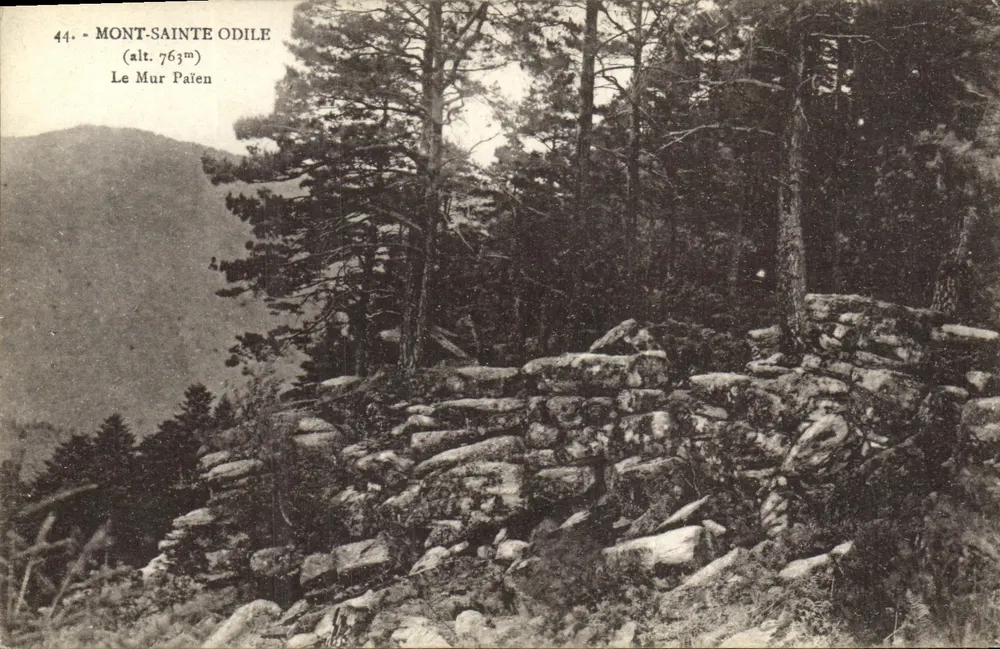 Mont-Sainte-Odile — O Muro Páreo (alt. 763m) — Carte postale n°44 - Frente