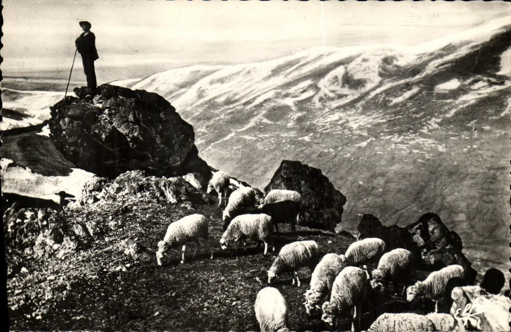 Paisagem montanhosa com pastor e rebanho — Editor Labouche, n° 204 - Frente